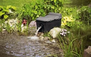 �������� ����� ��� �����