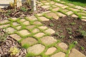 ��������������� ������� ���������