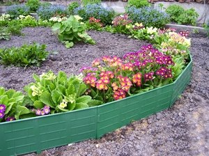 ������������ ������ ��� ������