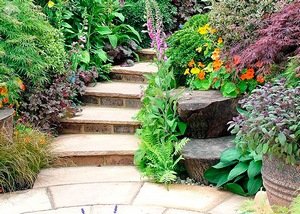 ��� ������� ��������� �������� ������?