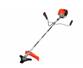 �������������� ������ � �������� �������� ���� �� ��������