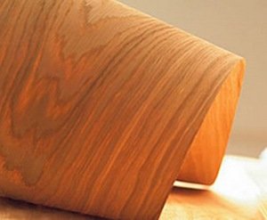 ���� � ������������ ����������� ������