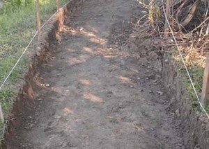 ������ ������� � ���� �� ����������� �������