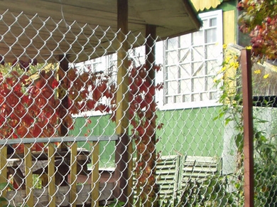 ��������� ������ �� �����