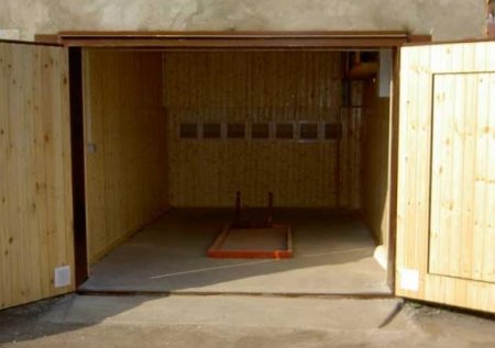 ������ ������