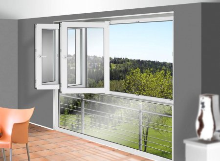 ������� ������������ ����������� ����