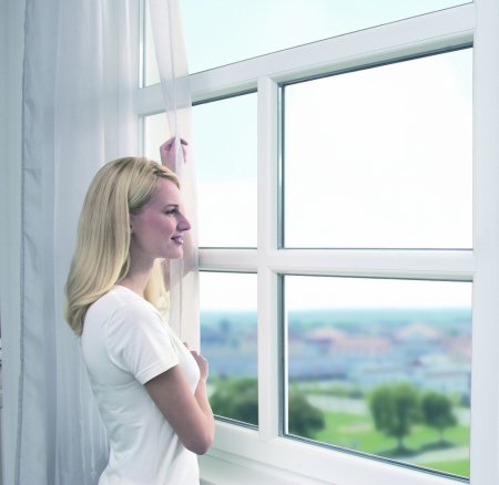 ���� �����