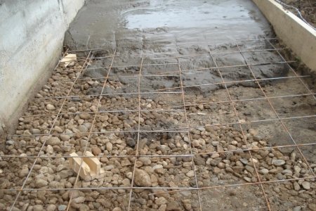 �������� ������ ���� ������ ������