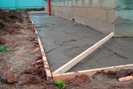 �������� ������ ���� ������ ������