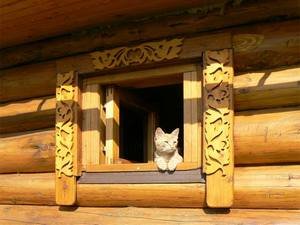 ������ ��������� ��� ����