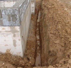 ��� ������ ������� ������ ����������?