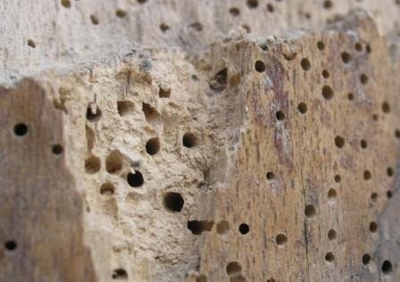 ������ ��������� �� ���������