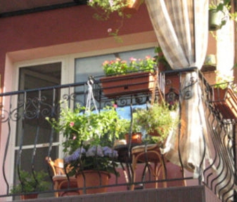 �������� ������ ������ ������