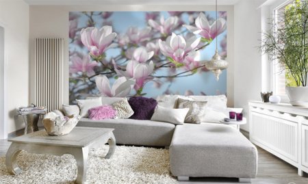 ����� ������ �� ������������: �������� � ���������