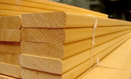 ����� � ������ ������������ ����� ��� ��������