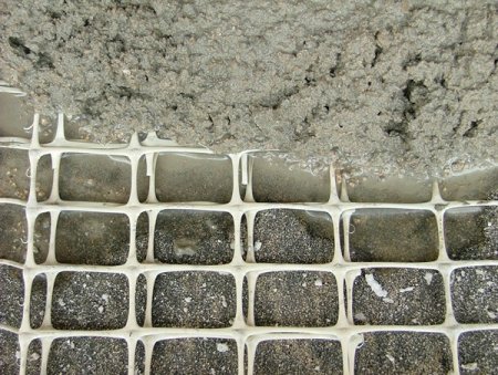 ����� �����������: ������������� � ����������