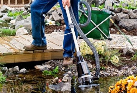 ������� ��� �����. �������� ������ �� ��������