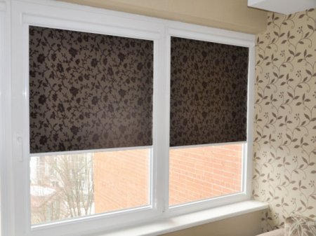 ���� ������ 