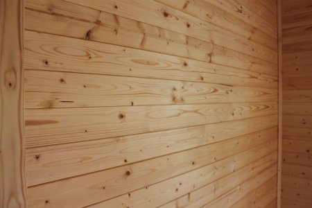 �������: �����������, ����� � ������