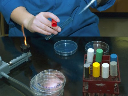 ��� ���� ����� ������ ����?