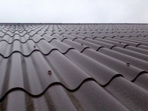 ��� ������, ���� ��������� �����?