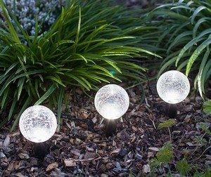 ����������� ������������ ������������