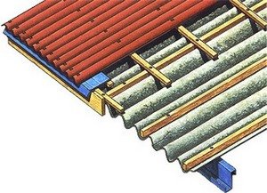 ��� ����� ��������� ������ �� ����?