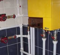 ������ ���������������� ����