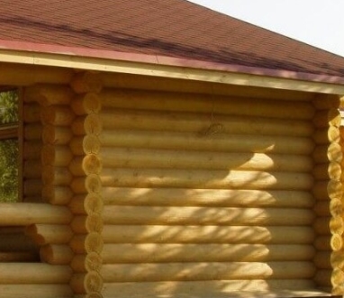 ���� ������ ������