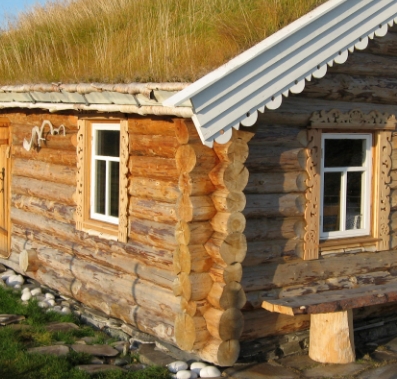 ���� ������ ������