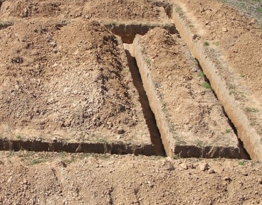 ������ ��������� �� ����!