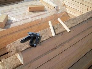 ������ ������������ ����������