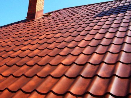 ��� ������� ���������������: ��� ���������� ���������