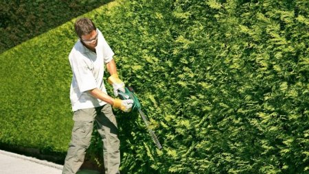 ����� �������� ������� ��� ����� ��������: ������ ��� ��������������?