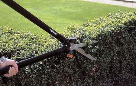 ����� �������� ������� ��� ����� ��������: ������ ��� ��������������?