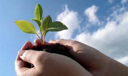 ���������-������������� ��������� ��� �������������