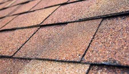 �������� ������: �����������, ������������ � ����������