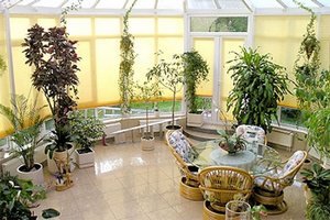 ���������� ������� ����