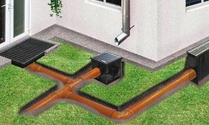 ��� ���� ����� ������ �� �������?