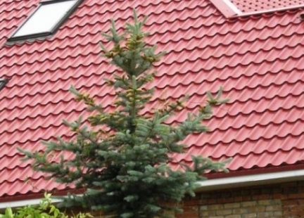 ��� � ���������������