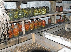 ��� ������� ������ ������ ������?