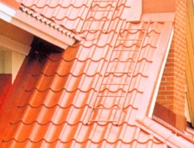 ���� � �������� ����������� ��������