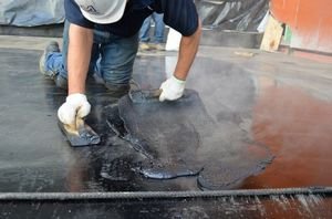 ������������ ���������� ������� ������ ������