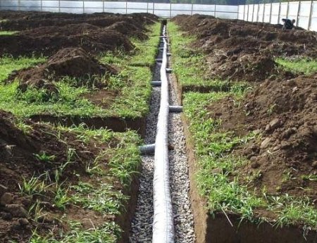 ��� ���� ����� ������ �� �������?