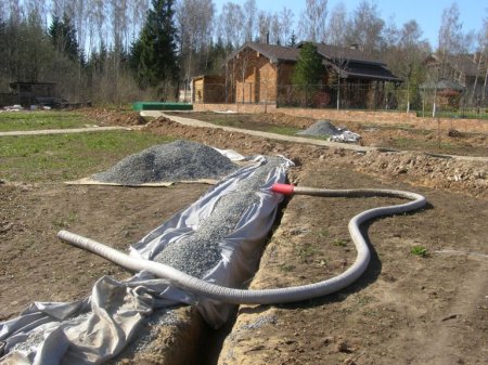 ��� ���� ����� ������ �� �������?