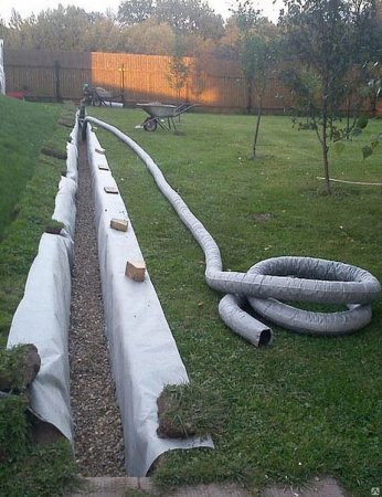 ���� ��������� ���� � �����������