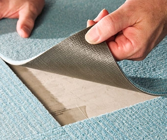 ���� �������� ����������� ���������