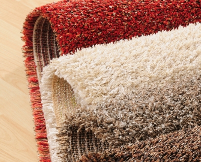 ���� �������� ����������� ���������