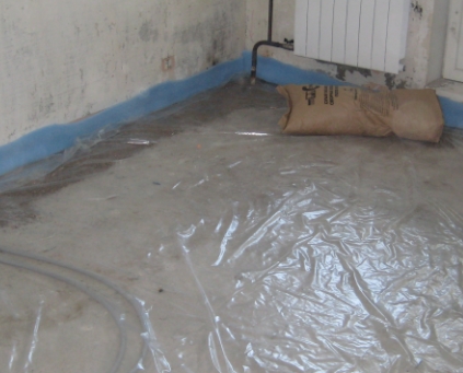 ����� ����� ���� ������ ����