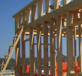 ������� ����������� ���������� �������������